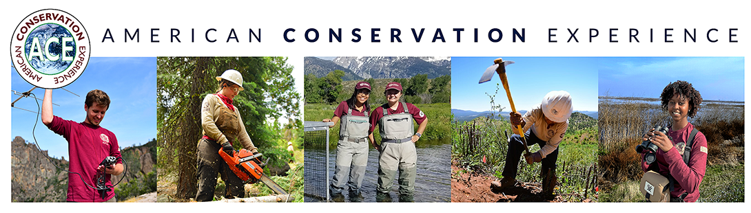 American Conservation Experience - Staff